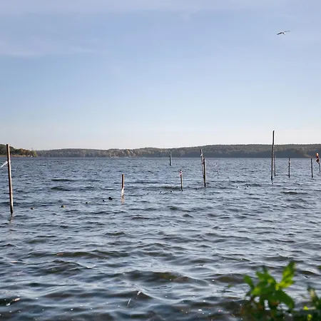 Vakantiehuis Tiny House Nr 3 *