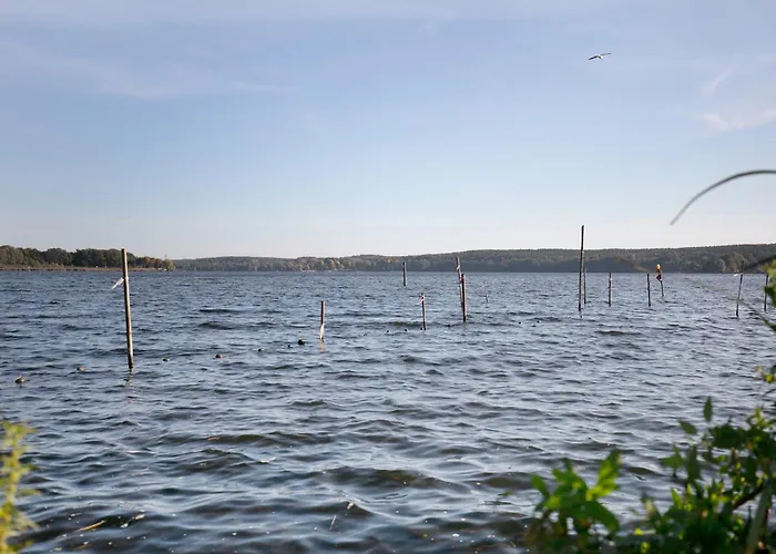 Сasa de vacaciones Tiny House Nr 3 *